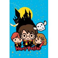 Deka Harry Potter Modrá , Barva - Modrá , Rozměr textilu - 100x150