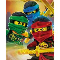 Deka Lego Ninjago , Barva - Barevná , Rozměr textilu - 100x150