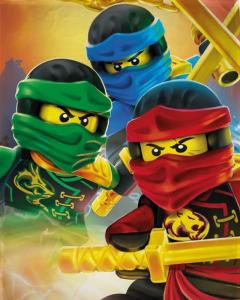 Deka Lego Ninjago , Barva - Barevná , Rozměr textilu - 100x150