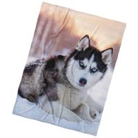 Deka Pes Sibírsky Husky , Barva - Šedá , Rozměr textilu - 150x200