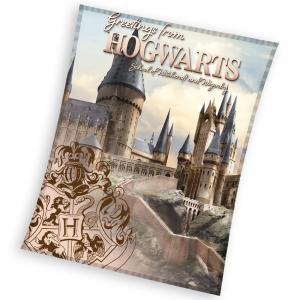 Deka Harry Potter Bradavické Tajemství , Barva - Šedá , Rozměr textilu - 130x160