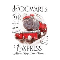 Ručník Harry Potter Bradavický Express 30x50 cm , Barva - Bielo-červená , Rozměr textilu - 30x50