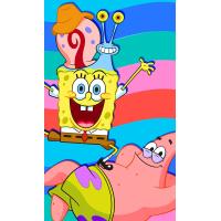 Dětský ručník Sponge Bob s Patrickem a Garym , Barva - Barevná , Rozměr textilu - 30x50
