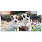 Osuška Bráškové Jack Russell Teriér , Barva - Barevná , Rozměr textilu - 70x140