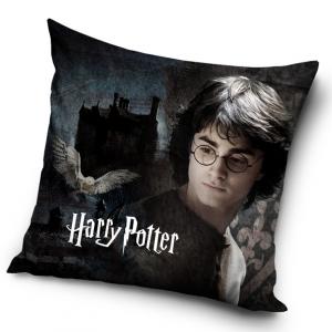 Obliečka na vankúšik Harry Potter V tajomných Rokforte , Barva - Antracitová , Rozměr textilu - 40x40