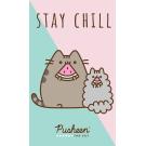 Ručník Kočička Pusheen Stay Chill , Barva - Růžovo-zelená , Rozměr textilu - 30x50